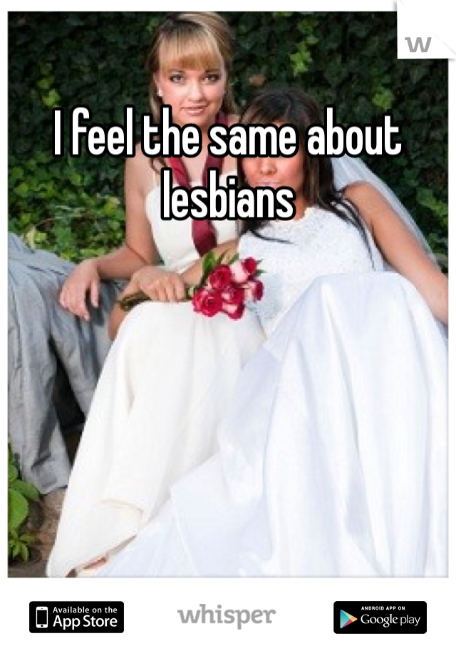 I feel the same about lesbians