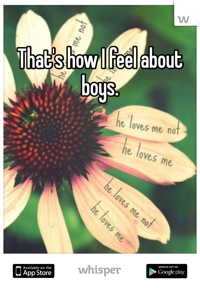 That's how I feel about boys. 