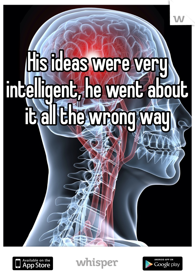 His ideas were very intelligent, he went about it all the wrong way 
