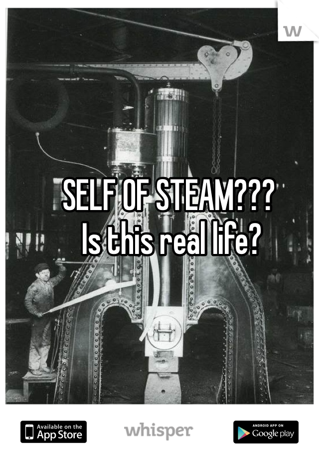 SELF OF STEAM???
 Is this real life?
