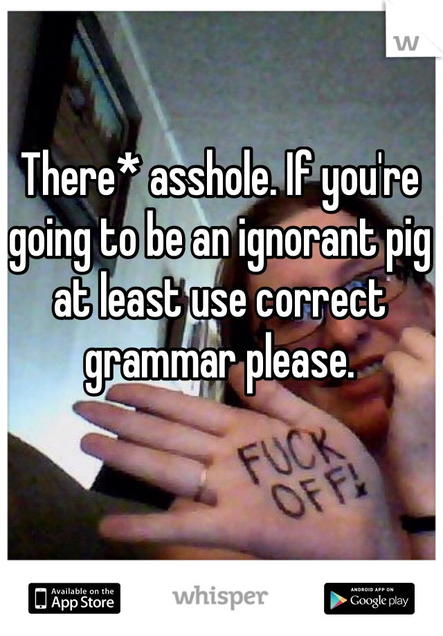 There* asshole. If you're going to be an ignorant pig at least use correct grammar please. 