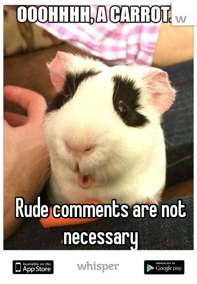 Rude comments are not necessary 