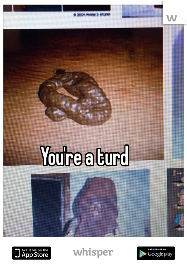 You're a turd