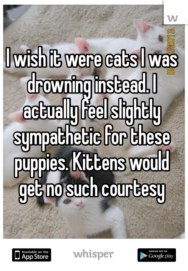 I wish it were cats I was drowning instead. I actually feel slightly sympathetic for these puppies. Kittens would get no such courtesy 
