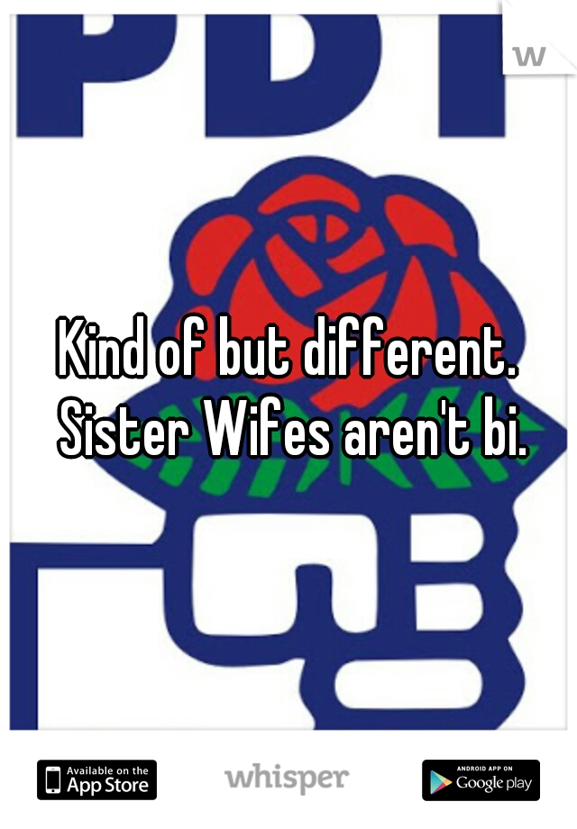 Kind of but different. Sister Wifes aren't bi.
