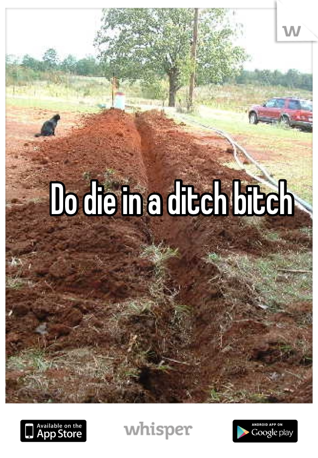Do die in a ditch bitch