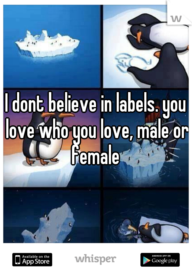 I dont believe in labels. you love who you love, male or female 