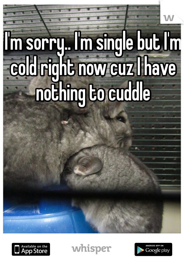I'm sorry.. I'm single but I'm cold right now cuz I have nothing to cuddle