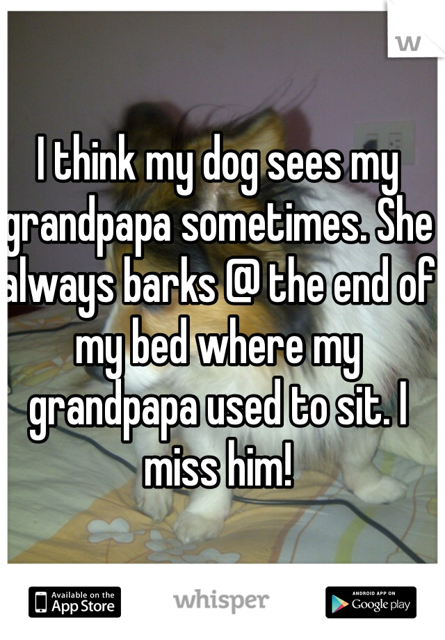 I think my dog sees my grandpapa sometimes. She always barks @ the end of my bed where my grandpapa used to sit. I miss him! 