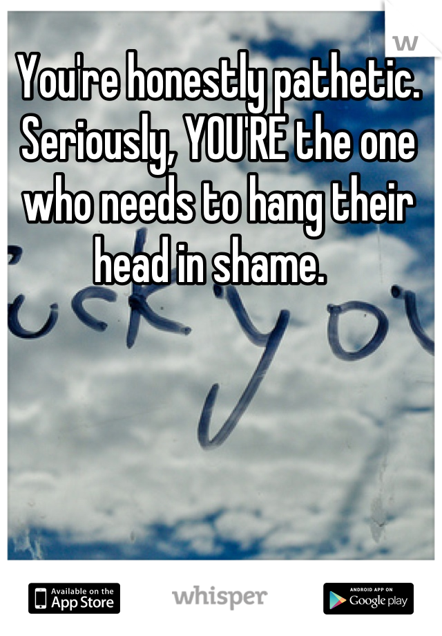 You're honestly pathetic. Seriously, YOU'RE the one who needs to hang their head in shame.  
