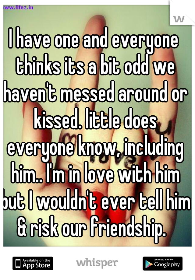 I have one and everyone thinks its a bit odd we haven't messed around or kissed. little does everyone know, including him.. I'm in love with him but I wouldn't ever tell him & risk our friendship.  