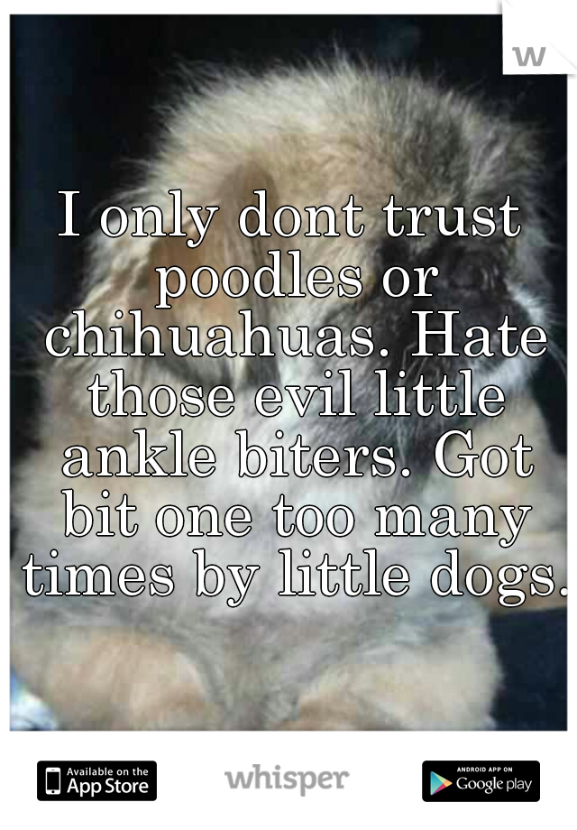 I only dont trust poodles or chihuahuas. Hate those evil little ankle biters. Got bit one too many times by little dogs.
