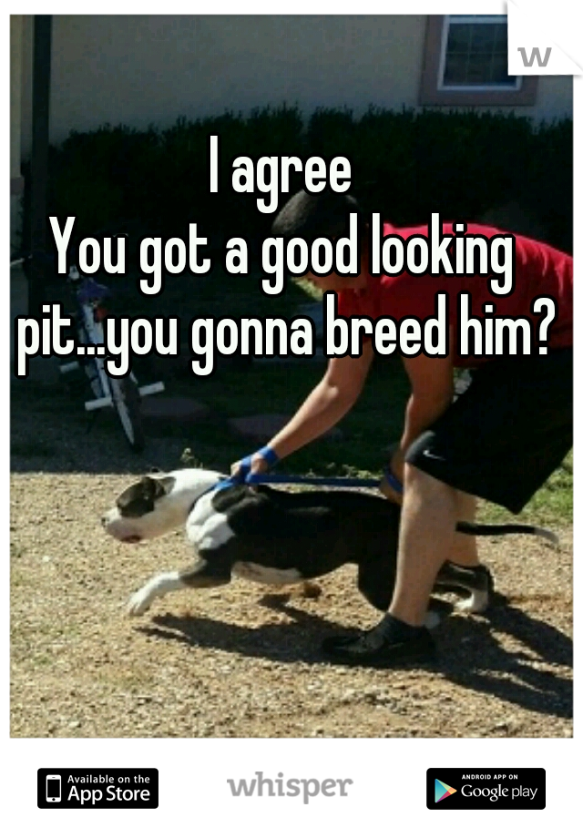 I agree
You got a good looking pit...you gonna breed him?