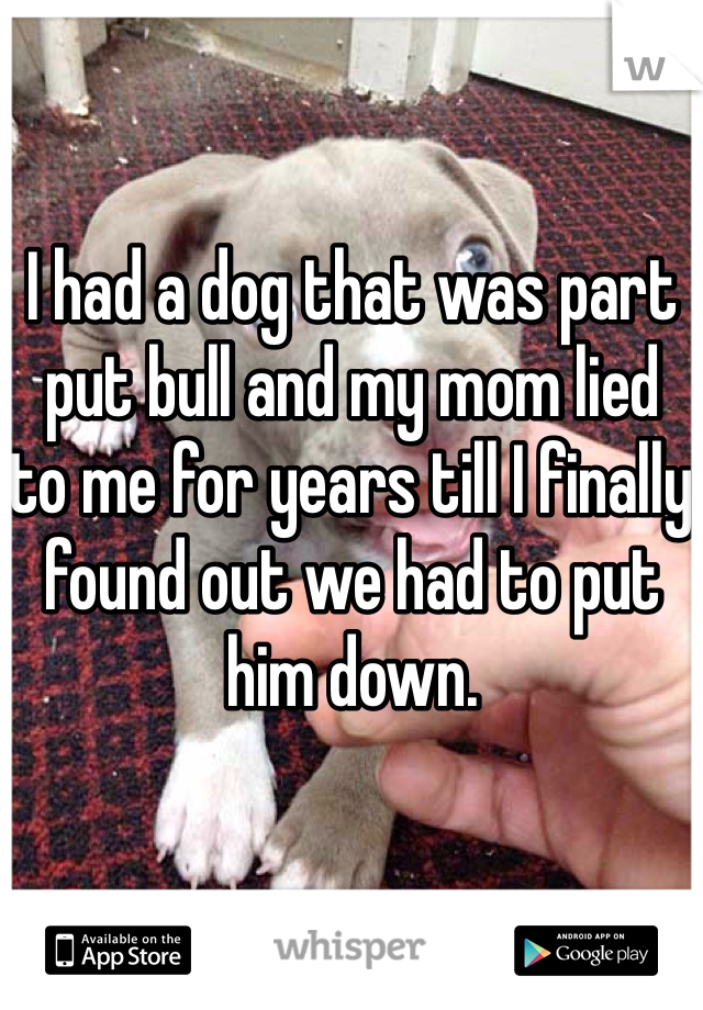 I had a dog that was part put bull and my mom lied to me for years till I finally found out we had to put him down.