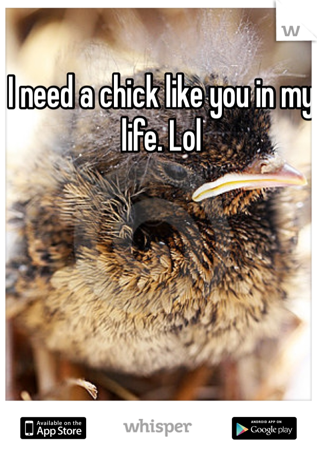 I need a chick like you in my life. Lol