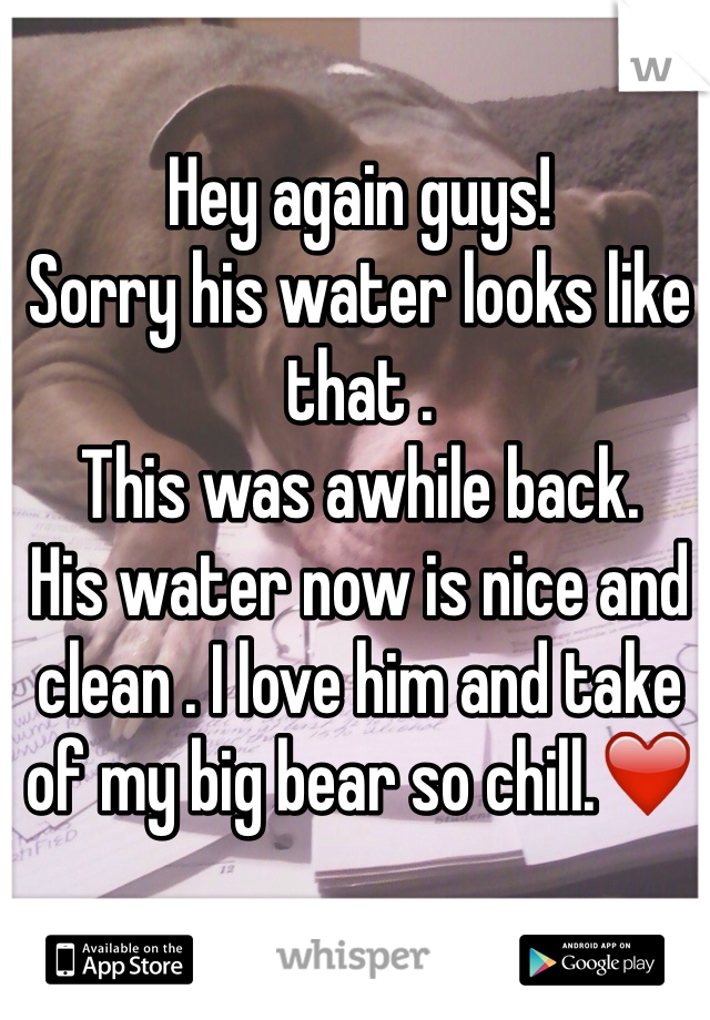 Hey again guys!
Sorry his water looks like that .
This was awhile back.
His water now is nice and clean . I love him and take of my big bear so chill.❤️