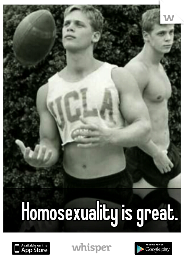 Homosexuality is great. 