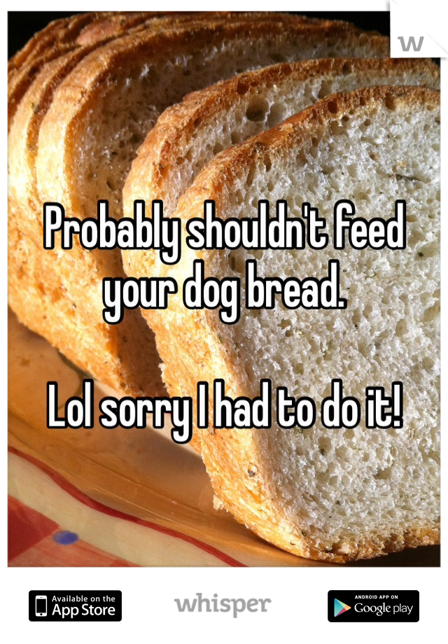 Probably shouldn't feed your dog bread. 

Lol sorry I had to do it! 