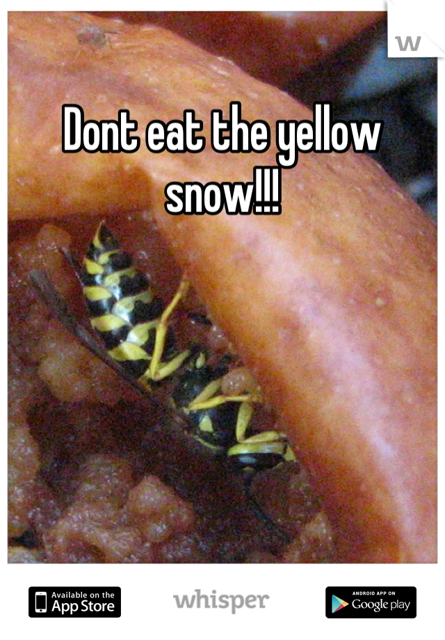 Dont eat the yellow snow!!!