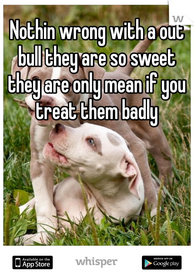 Nothin wrong with a out bull they are so sweet they are only mean if you treat them badly 