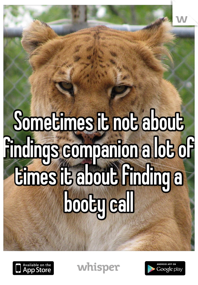 Sometimes it not about findings companion a lot of times it about finding a booty call 