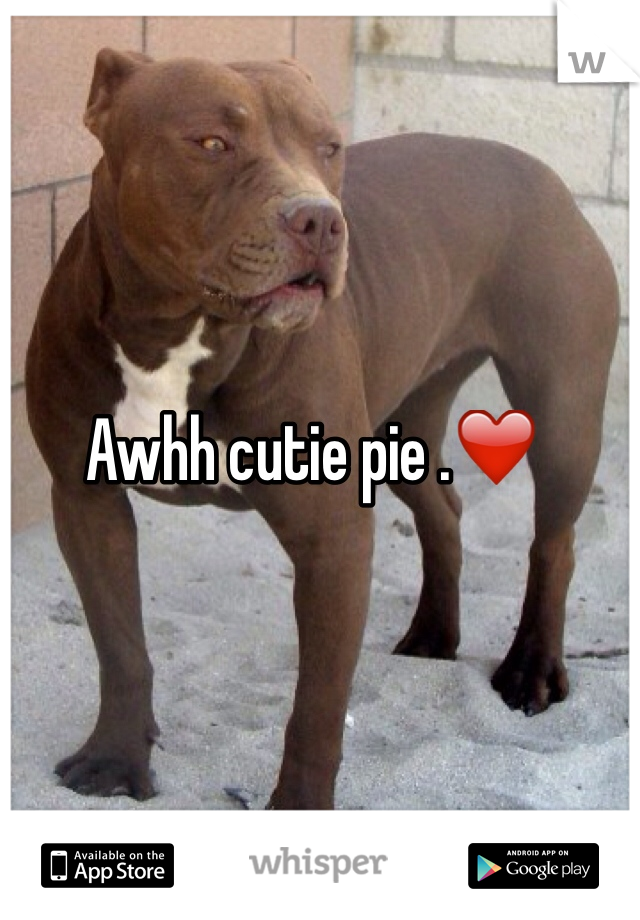 Awhh cutie pie .❤️