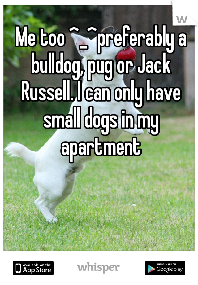 Me too ^_^preferably a bulldog, pug or Jack Russell. I can only have small dogs in my apartment  