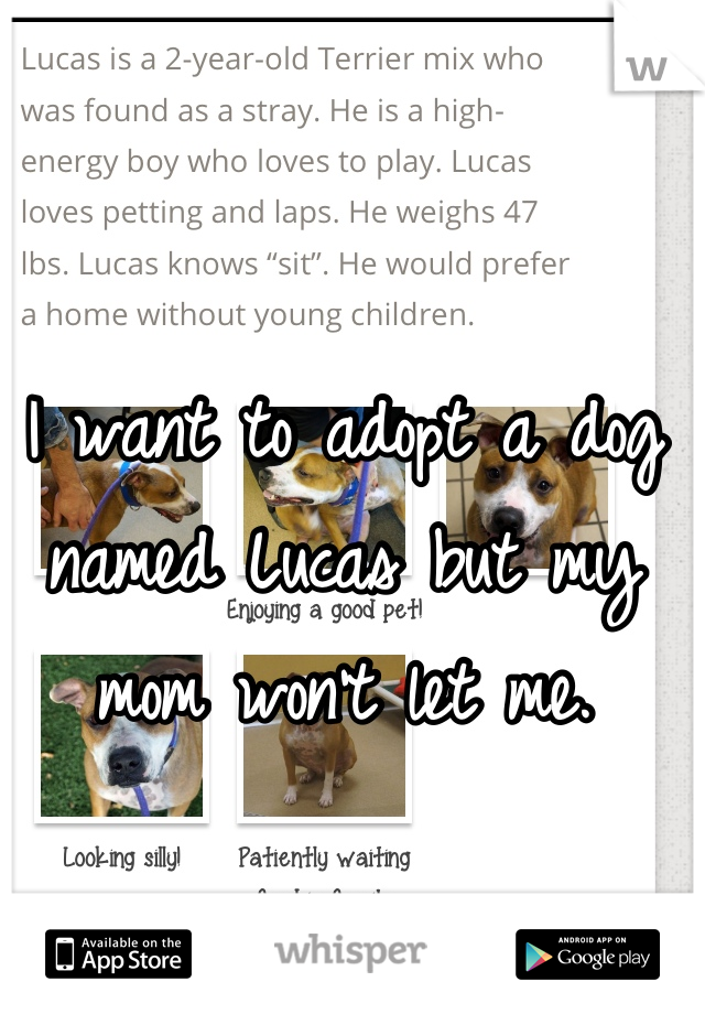 I want to adopt a dog named Lucas but my mom won't let me.