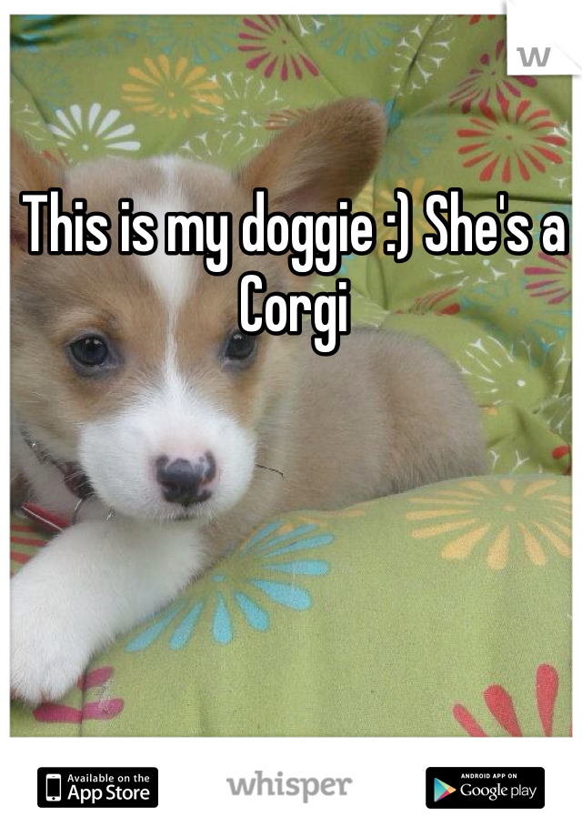 This is my doggie :) She's a Corgi