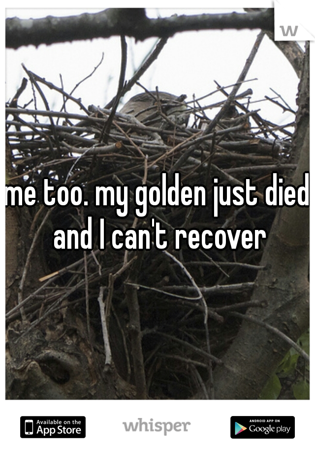 me too. my golden just died and I can't recover
