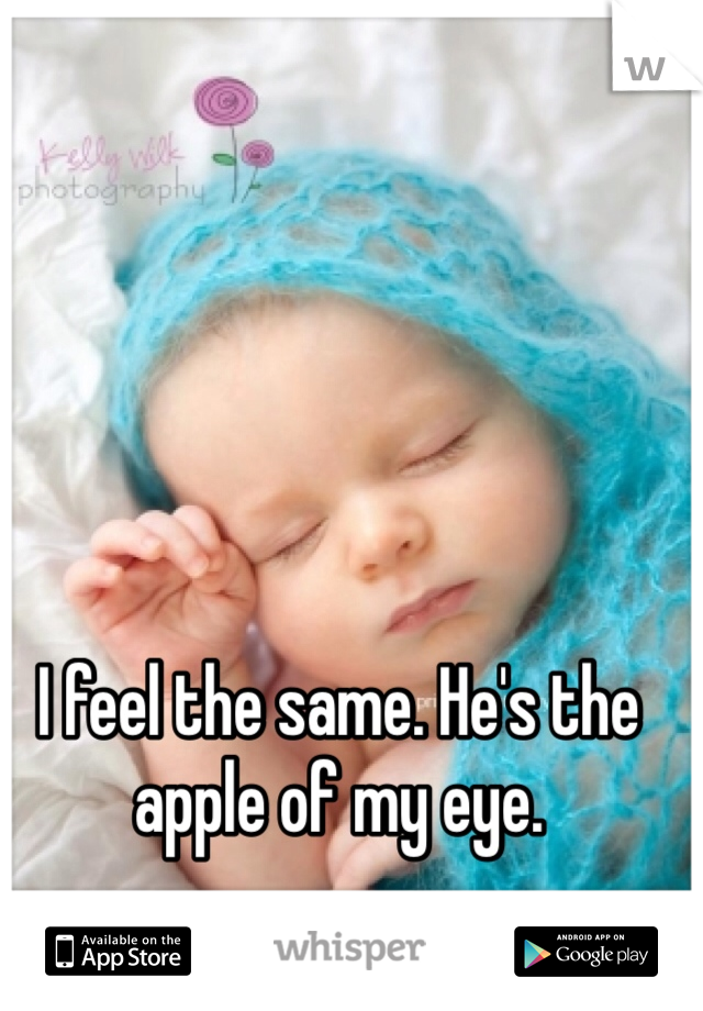 I feel the same. He's the apple of my eye.
