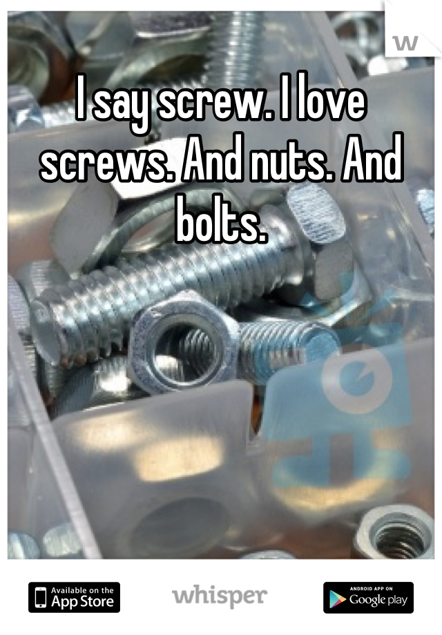 I say screw. I love screws. And nuts. And bolts.