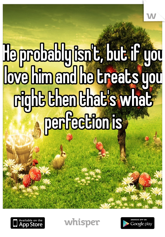 He probably isn't, but if you love him and he treats you right then that's what perfection is