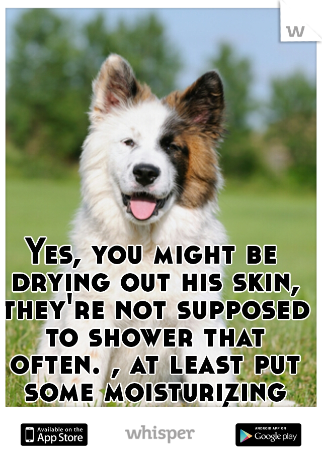 Yes, you might be drying out his skin, they're not supposed to shower that often. , at least put some moisturizing stuff on him/her