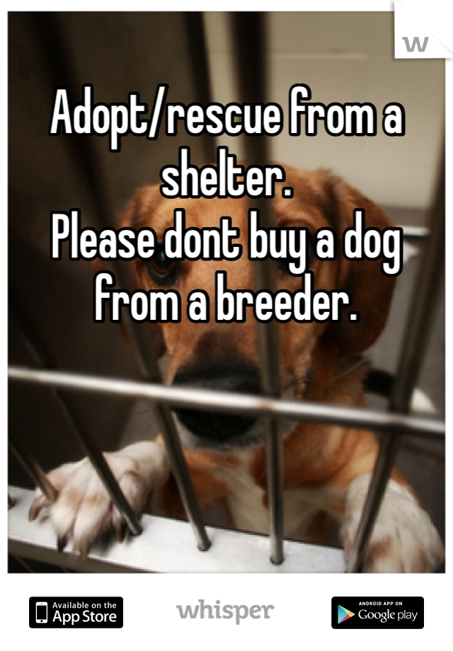 Adopt/rescue from a shelter.
Please dont buy a dog from a breeder. 