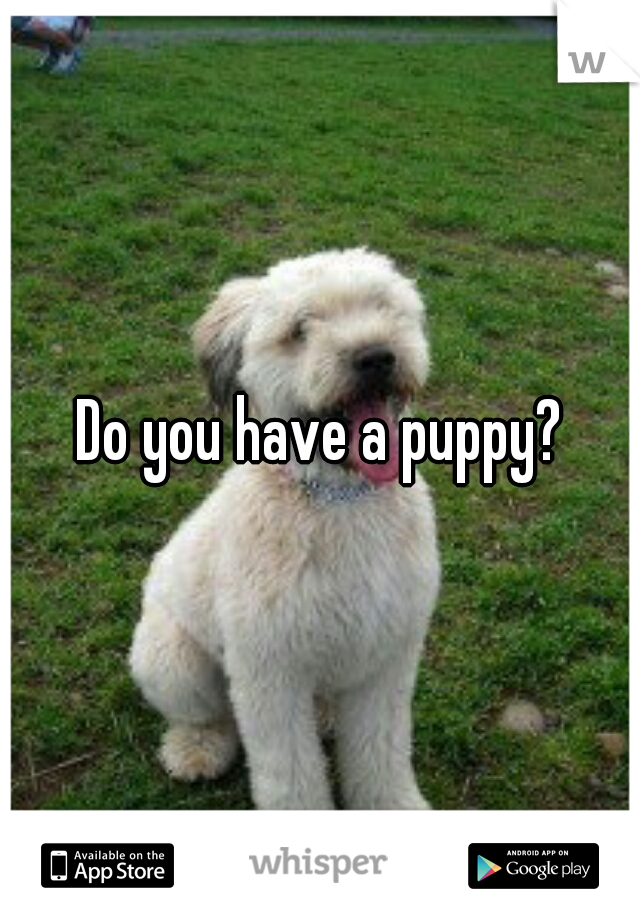 Do you have a puppy?