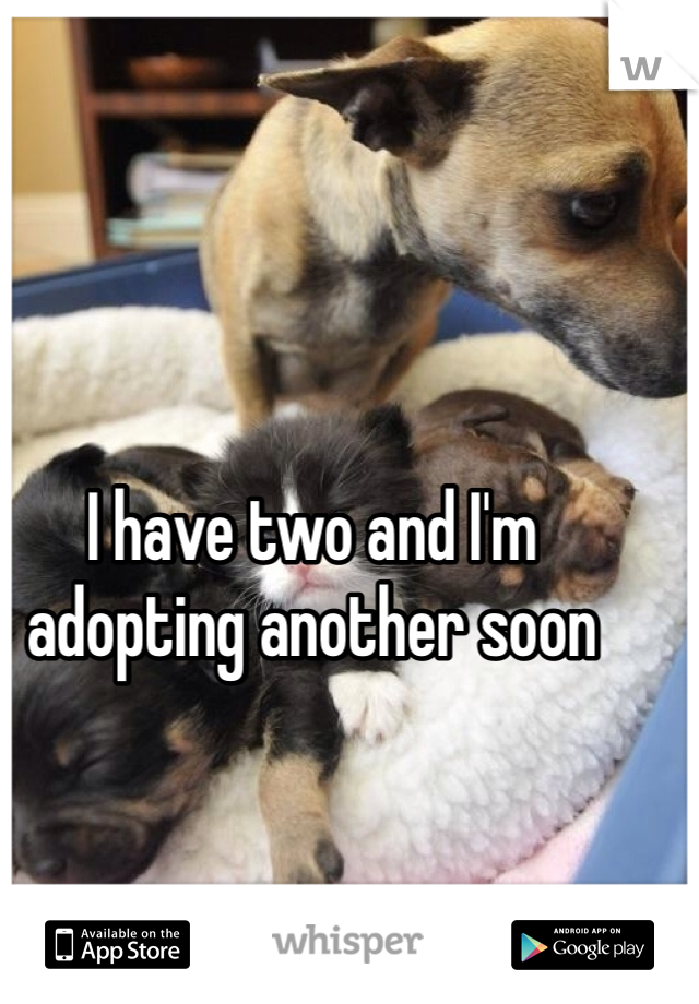 I have two and I'm adopting another soon