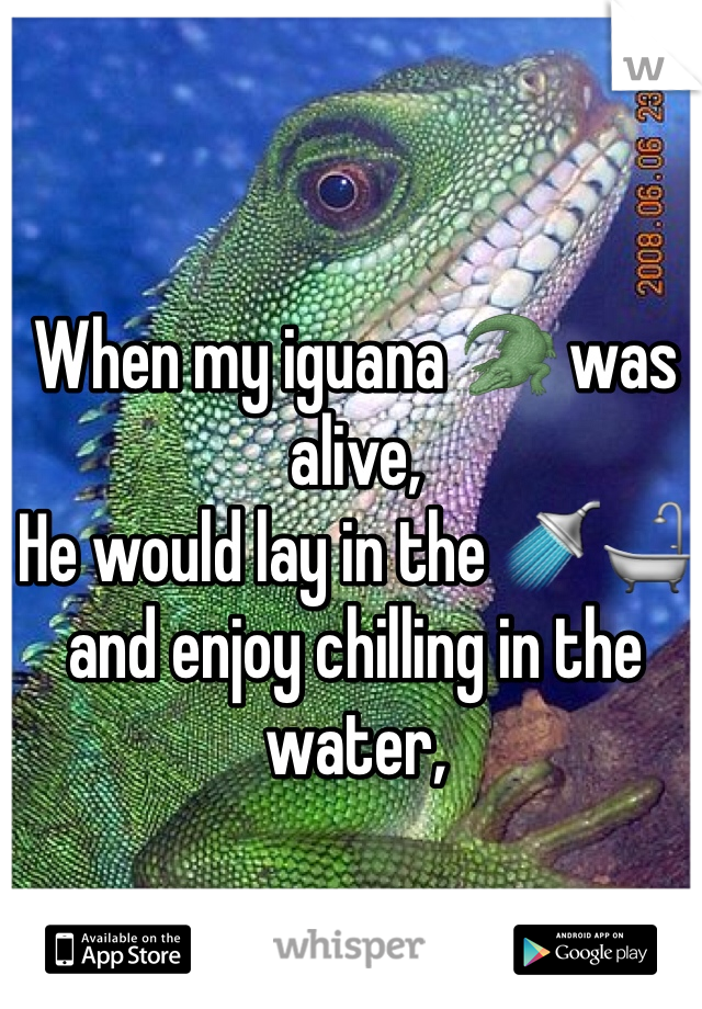 When my iguana 🐊 was alive,
He would lay in the 🚿🛁 and enjoy chilling in the water, 

And no this isn't him!
