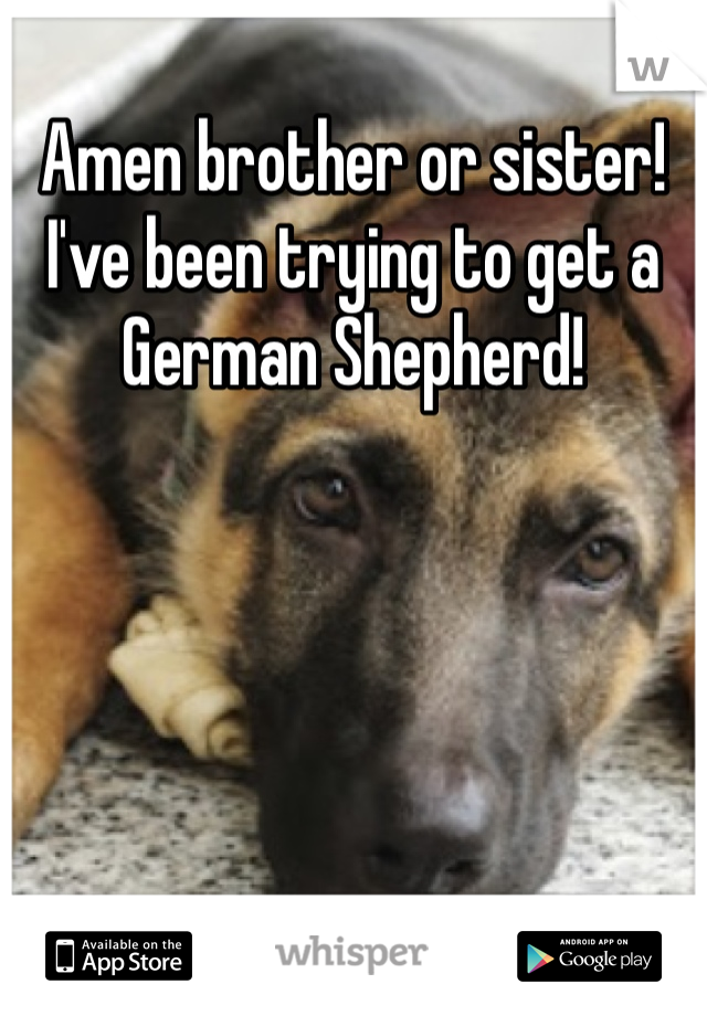 Amen brother or sister! I've been trying to get a German Shepherd!