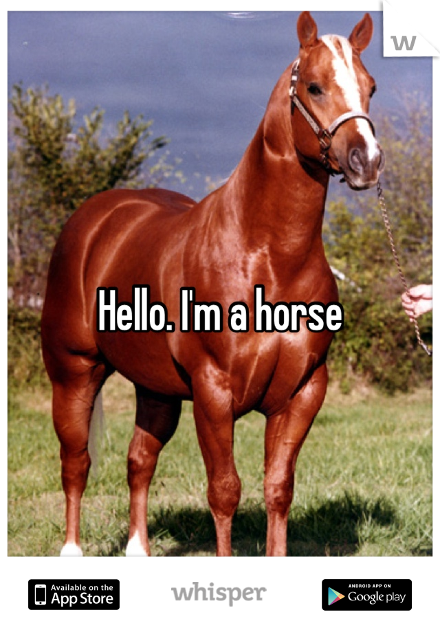 Hello. I'm a horse