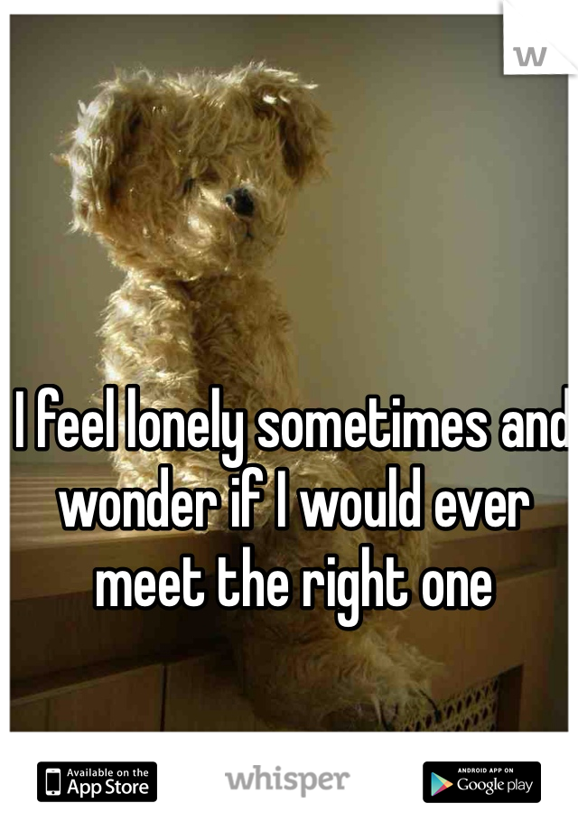 I feel lonely sometimes and wonder if I would ever meet the right one