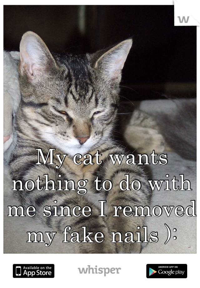 My cat wants nothing to do with me since I removed my fake nails ): 