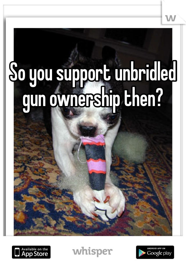 So you support unbridled gun ownership then?