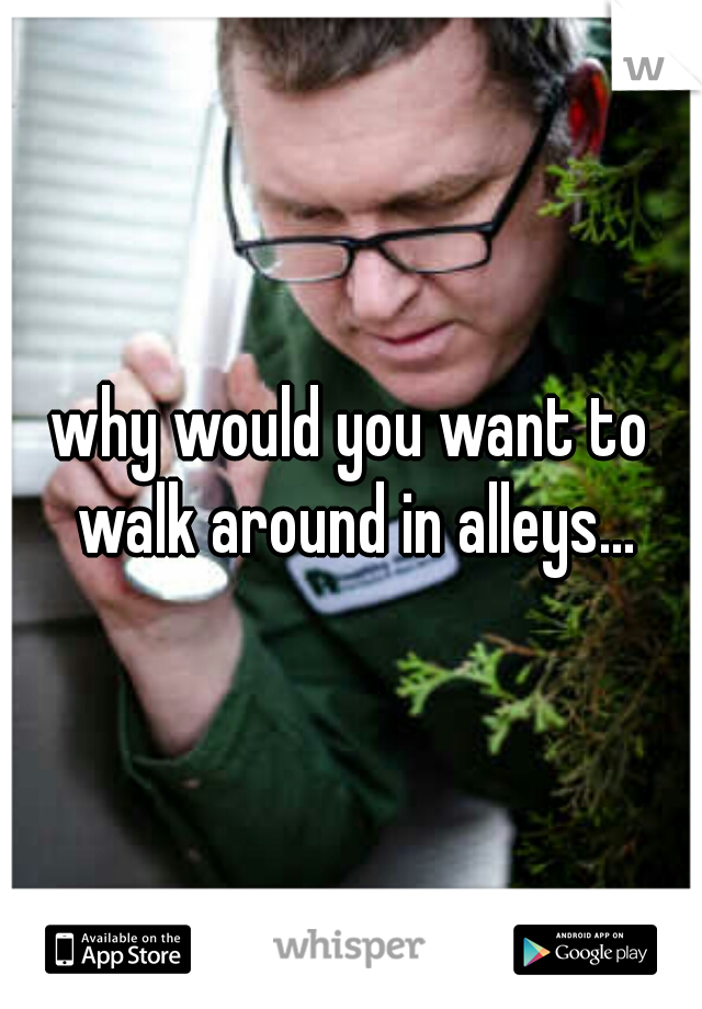 why would you want to walk around in alleys...