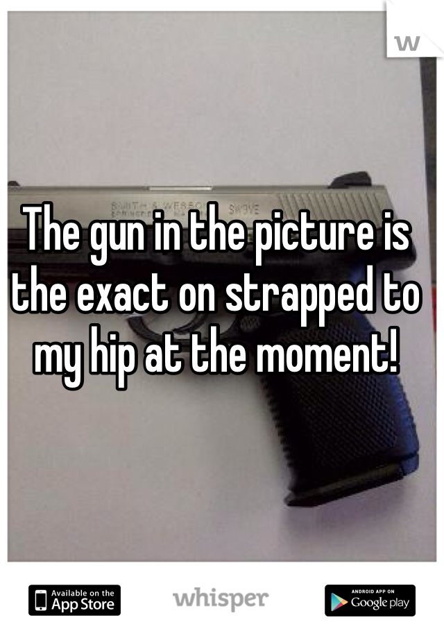 The gun in the picture is the exact on strapped to my hip at the moment!