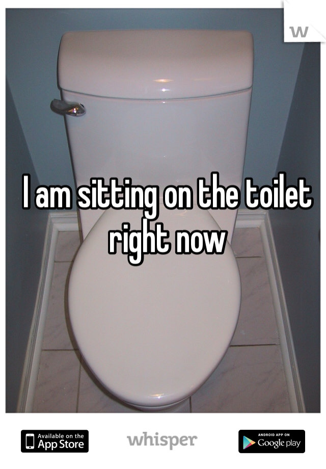 I am sitting on the toilet right now
