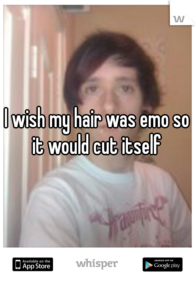 I wish my hair was emo so it would cut itself 