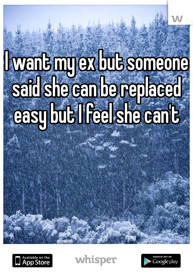I want my ex but someone said she can be replaced easy but I feel she can't 