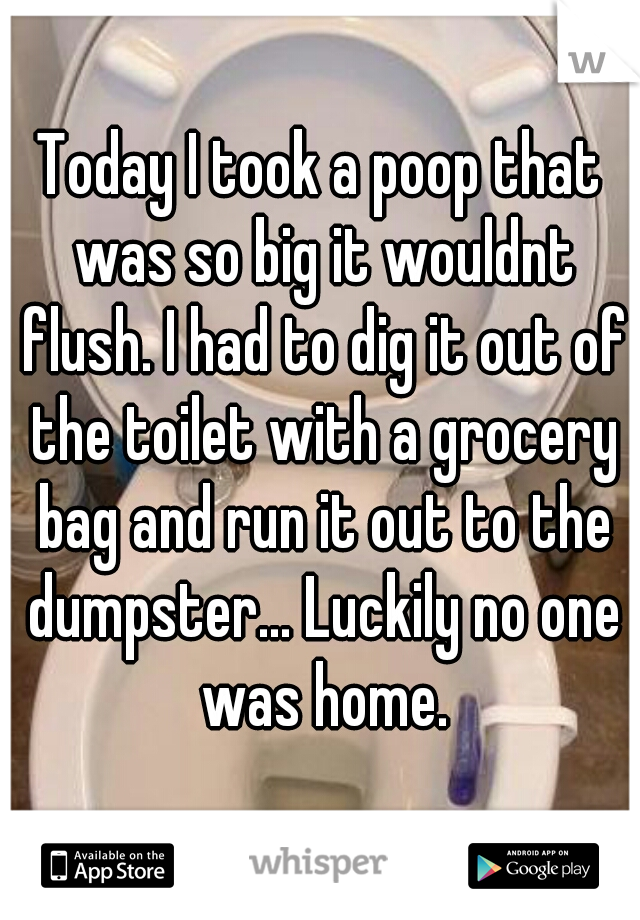Today I took a poop that was so big it wouldnt flush. I had to dig it out of the toilet with a grocery bag and run it out to the dumpster... Luckily no one was home.