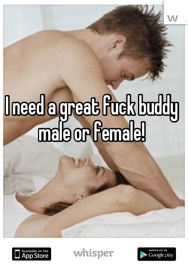 I need a great fuck buddy male or female!